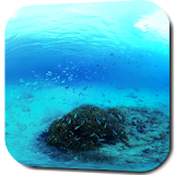 Underwater Video Wallpaper icon