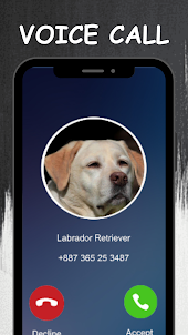 Call from Labrador Retriever