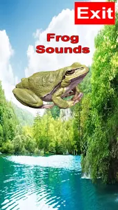 Frog Sound 3D Effects Tone