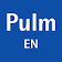 Pulmonology pocket icon