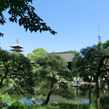 Senso-ji Temple garden(JP038) icon