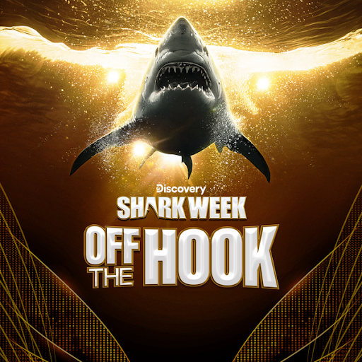 Shark Week: Off the Hook - TV on Google Play