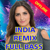 DJ Hindi Remix Offline