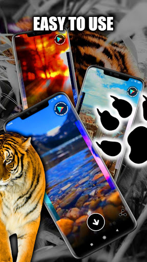 Tiger Wallpaper Live HD/3D/4K Screen 2