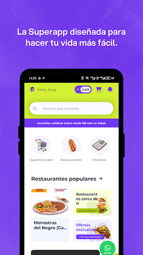 Katuk Screen 2