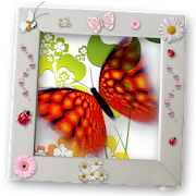 Butterfly Raising - My Butterfly garden