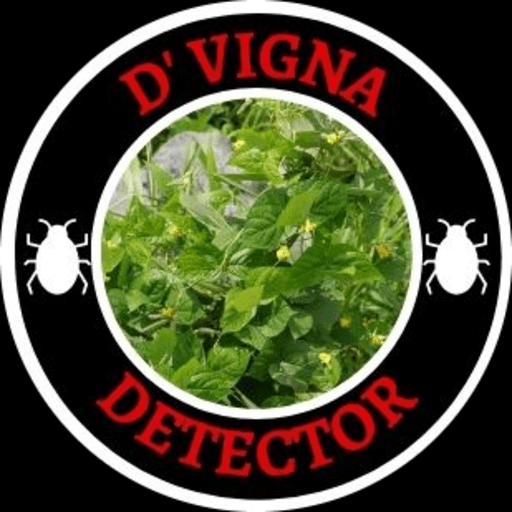 DMung Bean Detector logo