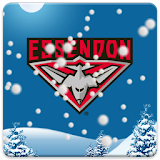 Essendon Snow Globe icon