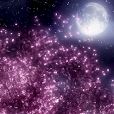 Cherry blossom LiveWallpaper icon