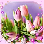 Cover Image of डाउनलोड Spring Tulips lwp  APK