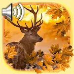 Cover Image of Herunterladen Autumn Animals Live Wallpaper 1.4 APK