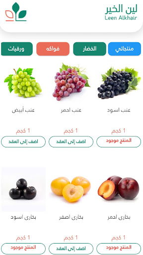لين الخير - LeenAlkhair Screen 2