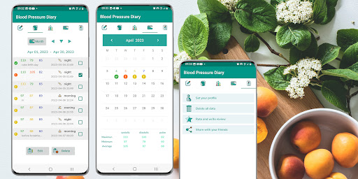 Blood Pressure Diary Screen 3
