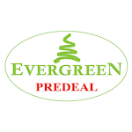 Cover Image of Télécharger Evergreen Predeal  APK
