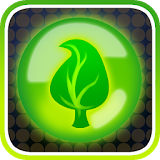 Mysterious Forest icon