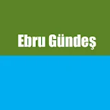 Ebru Gündeş Top song icon