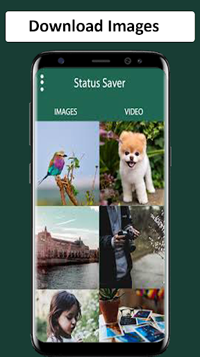 Status Saver - Download Status Screen 2