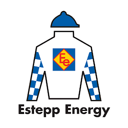 Stepp Up Rewards: Download & Review