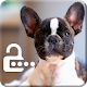 French Bulldog Puppy Sweet Screen Lock Download on Windows