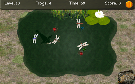 Baby Frogs - Frog Wrangling Screen 2