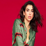 Cover Image of Download All songs of Dua Lipa - New Rules | without net 1 APK