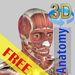 Cover Image of ダウンロード 3D骨と臓器（解剖学）  APK