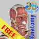 3D Bones and Organs (Anatomy) विंडोज़ पर डाउनलोड करें