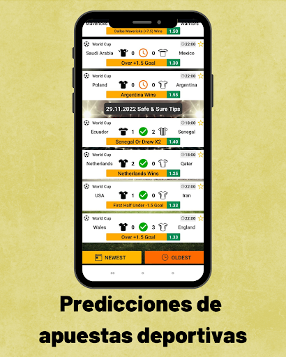 Vista previa de la aplicación