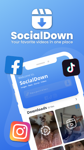 SocialDown no watermark