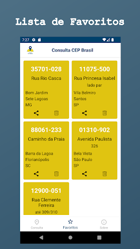 Consulta Cep Brasil Screen 3