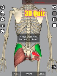 3D Anatomy