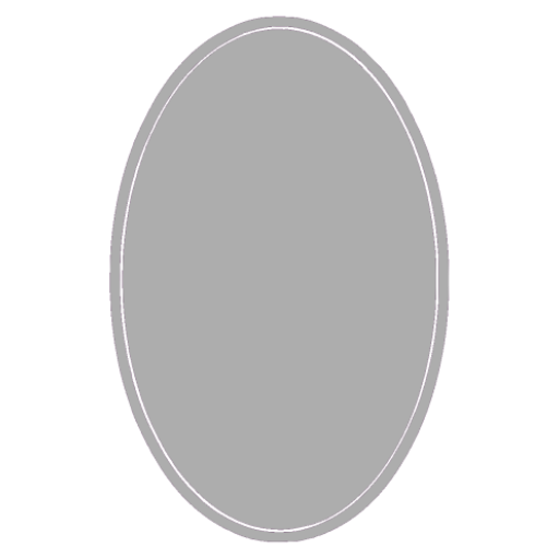 FS Mirror logo