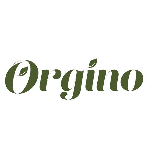 Orgino 1.1 Icon