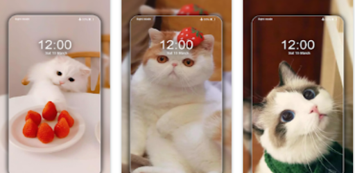 Cat Wallpapers HD Offline Cute