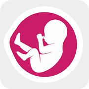 Pregnancy Kick Counter - Monitor baby movements