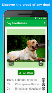 DoggyApp - Identify Dog Breeds