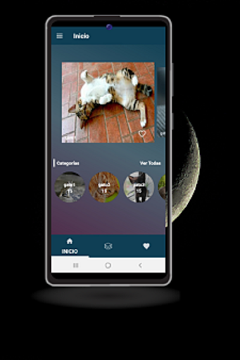Android application imagenes de gatos screenshort