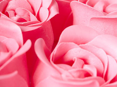 選択した画像 ピンク 薔薇 壁紙 無料 410754-ピンク 薔�� 壁紙 無料
