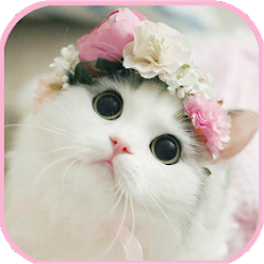 cat Wallpapers - cute kitten i - Apps