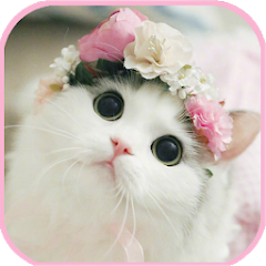 cat Wallpapers - cute kitten i - Apps on Google Play