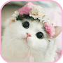cat Wallpapers - cute kitten i