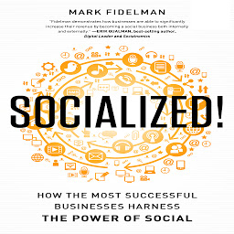 Icon image Socialized!: How the Most Successful Businesses Harness the Power of Social