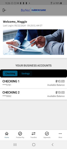 Harbor Biz Net Screen 3
