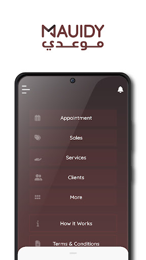 Mauidy For Businesses Screen 3