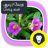 Ayurvedic Herbal  Plants Tips icon