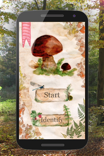 Android application The Mushroom Book screenshort