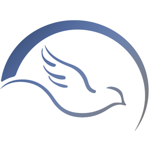 CCNYC logo