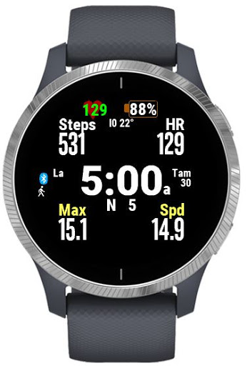 DSWatch multi-sport Companion Screen 3