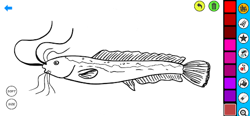 Ikan Empang Coloring Screen 2