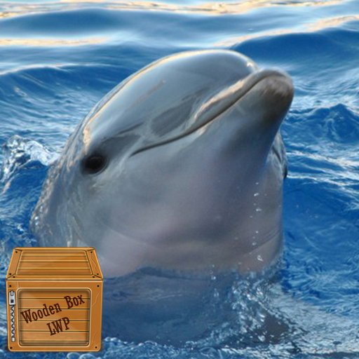 dolphin fish wallpaper logo